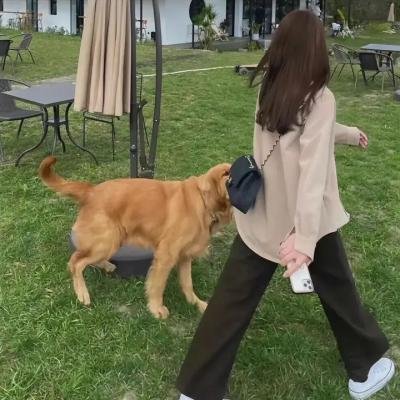 远方有多远
